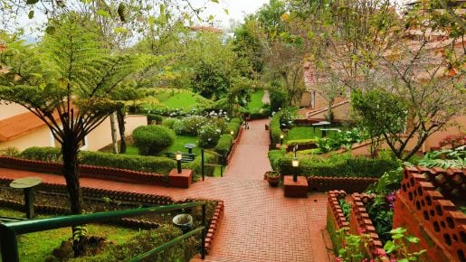 Kodai resort hotel_4